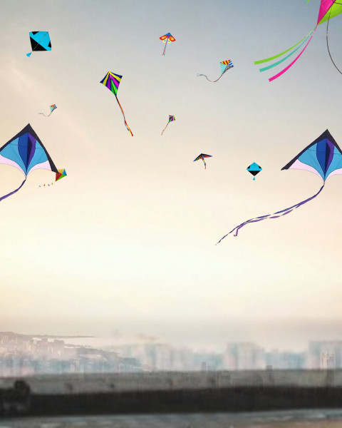 Picsart Makar Sankranti Background Download