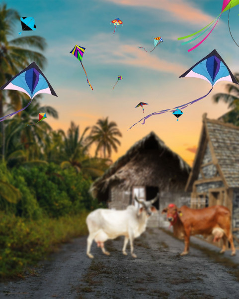 Picsart Makar Sankranti Background Hd For Editing