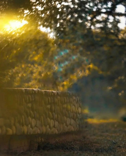 PicsArt New Nature Sunset Background Full HD