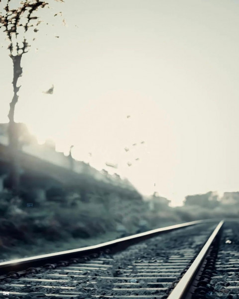 Picsart Photo Editing Background For Autodesk