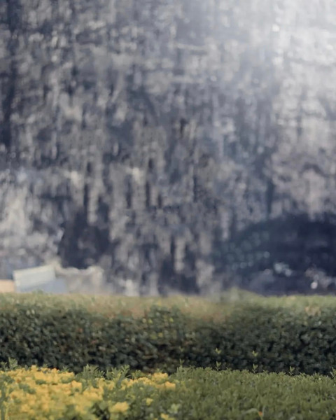 Picsart Photo Editing Background For Autodesk Pic