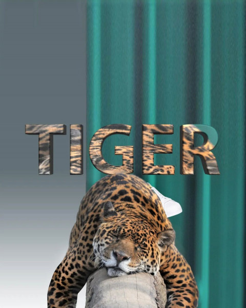 Picsart Photo Editing CB Tiger Background Download