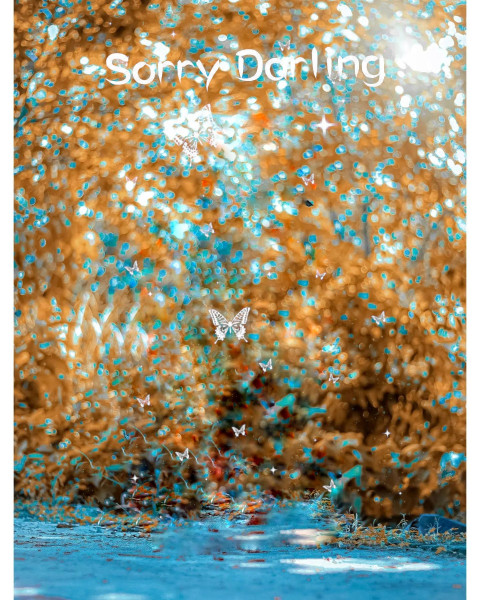 PicsArt Photo Editing Forset Background Download Free