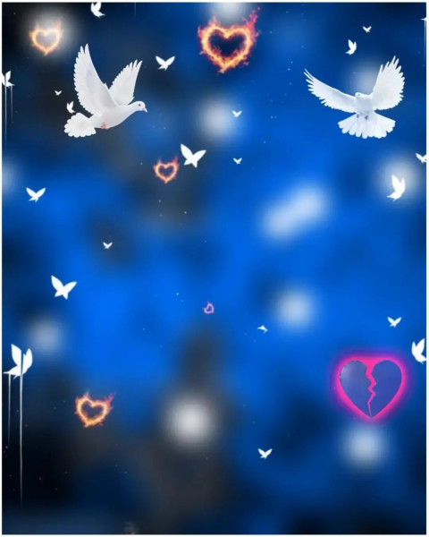 PicsArt Photo Editing New Birds Background Download Full HD