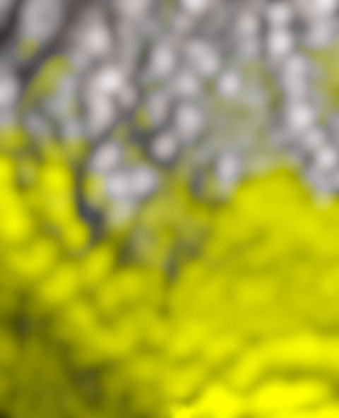 Picsart Viral Photo Editing Background Full HD