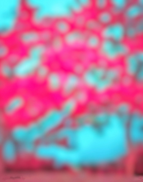 Pink CB Photo Editing Background HD Download