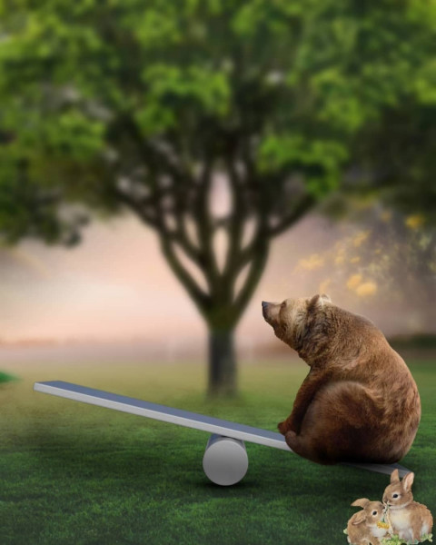 Playing Bear Poster Photo Editing Background HD