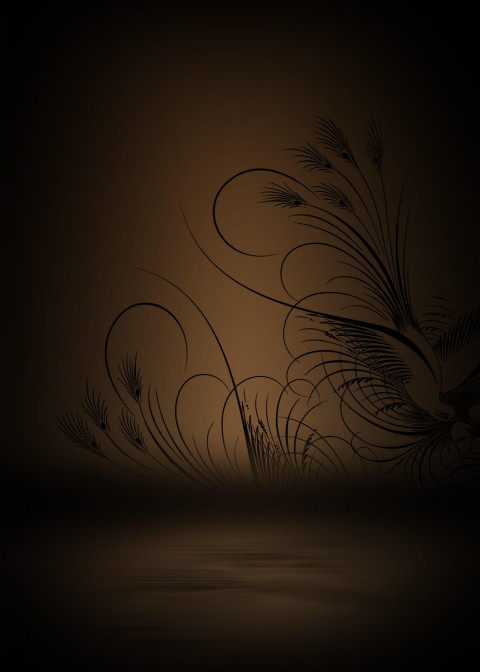 Portrait Photo Editing Studio Background Download Pic
