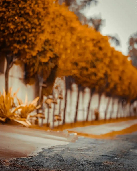 Pranav PG Background HD For Snapseed Photo Editing | Image Free Download