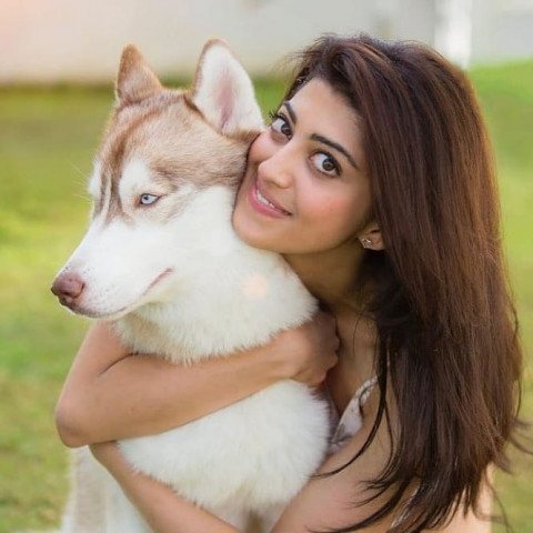 Pranitha Subhash Wallpaper Free Download New