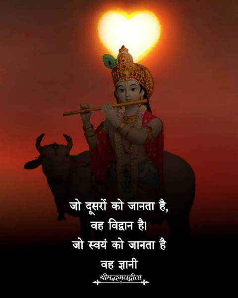 Prayer God Quotes In Hindi Photos For WhatsApp  Full HD
