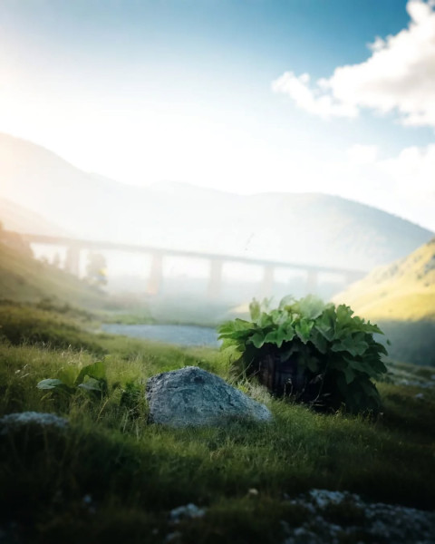Professional Image Editing Beautiful Nature Background