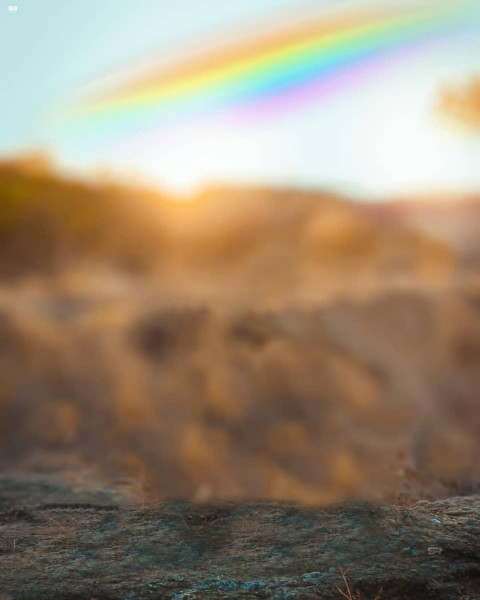 Rainbow Cb Background Image Full HD