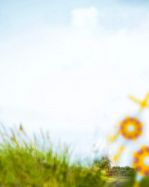 Rakhi Editing HD Background For CB PicsArt