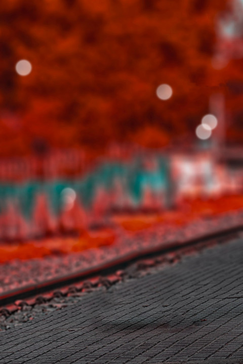 Rd Debu Background Blureed Cb Photoshop Photo Editing