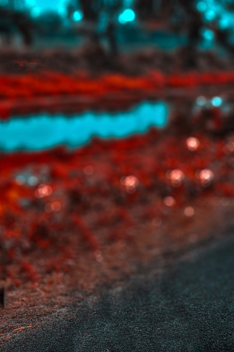 Rd Debu Background Blureed Cb Photoshop Photo Editing