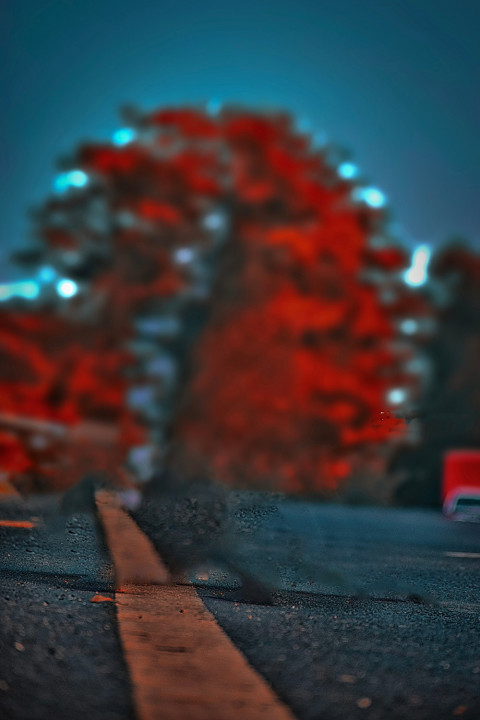 Rd Debu Background Blureed Cb Photoshop Photo Editing