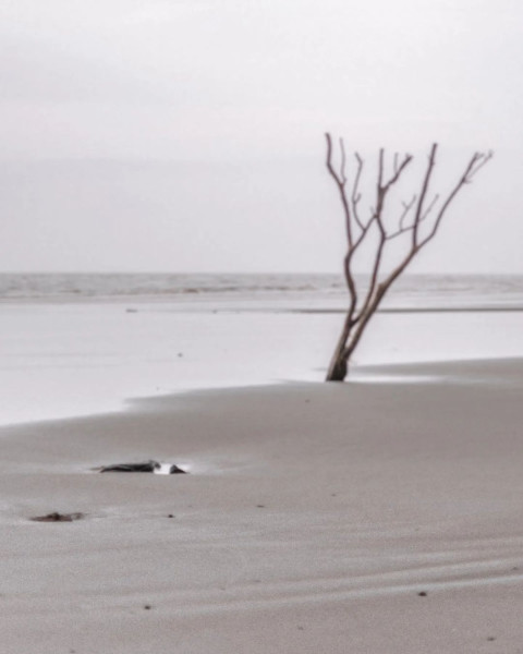 Rdx Editor HD Beach Backgroud Wallpaper New Download Free