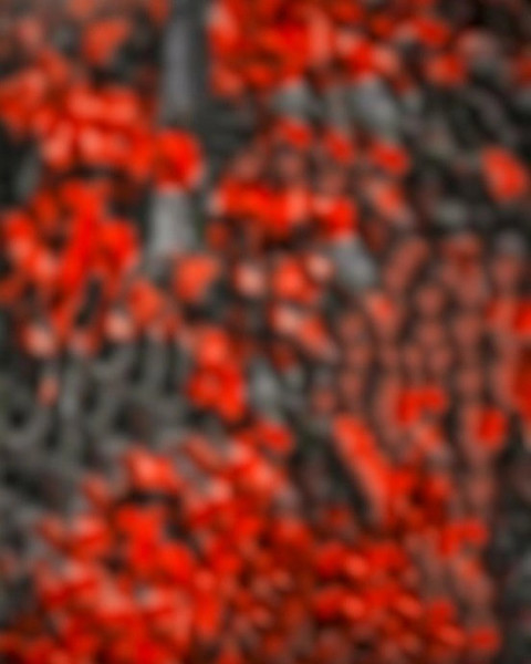 Red CB Photo Editing Blur Background HD