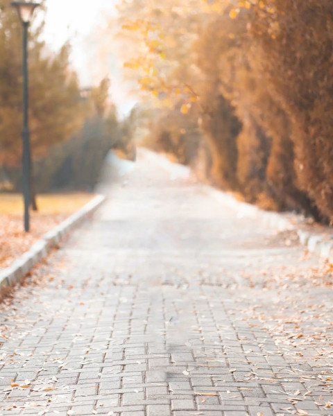 Road Park Viral Editing Background for PicsArt And Photoshop