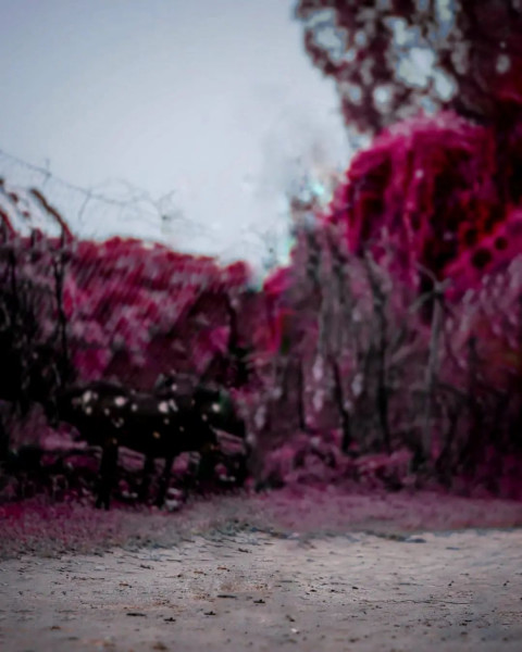 Road Photoshop HD Background Full HD Download For Editing