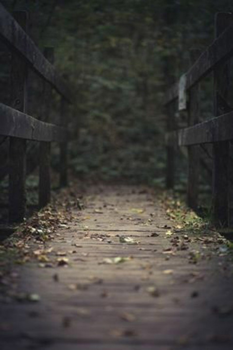 Road Picsart Background Images Download Free