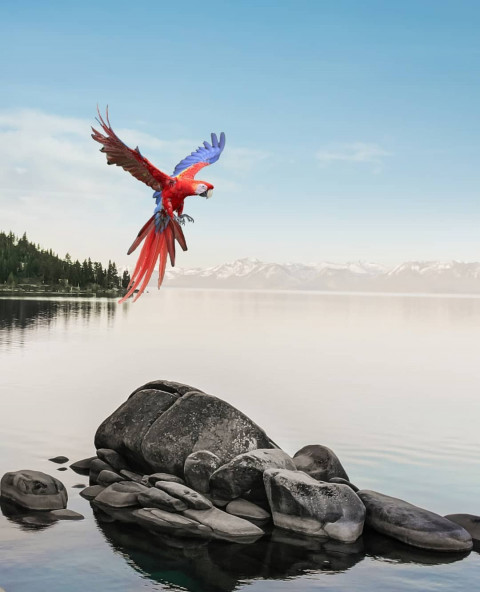 Rock Picsart Background Download HD