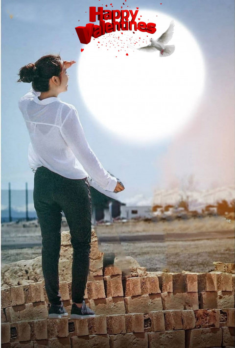 Romantic Valentine Day PicsArt Background For Editing