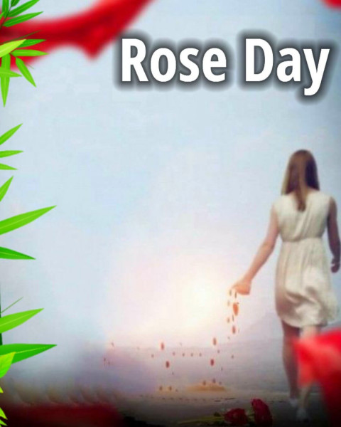 Rose Day Background With Girl For Valentine Day Photo Editing HD