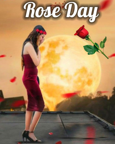 Rose Day Cb Photo Editing Valentine Day Background For Picsart