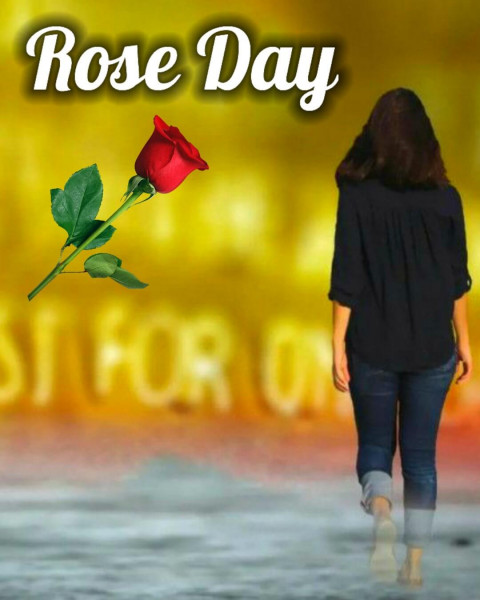 Rose Day Cb Photo Editing Valentine Day Background For Picsart Girl
