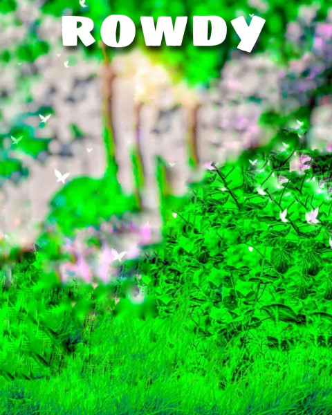 Rowdy CB Background New For Photoshop PicsArt Editing