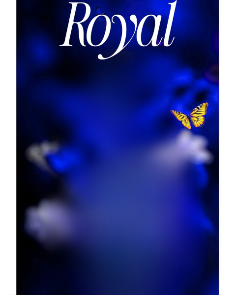 Royal Blue Color HD Background Free Image Download