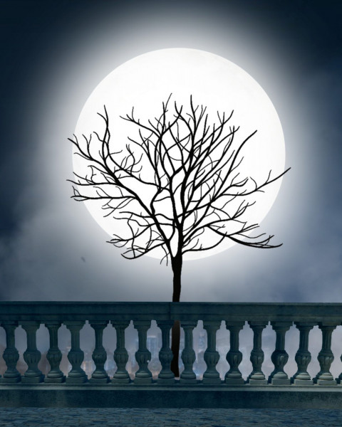 Scary Moon Photo Editing Background For CB PicsArt