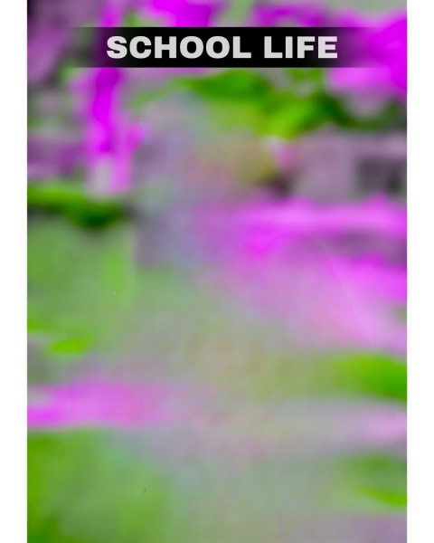 School life CB Editing Free Background HD