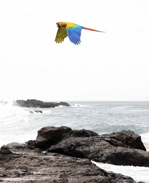 Sea cb picsart background Editing hd