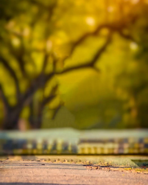 Sketchbook Nature Editing CB Background Download Free