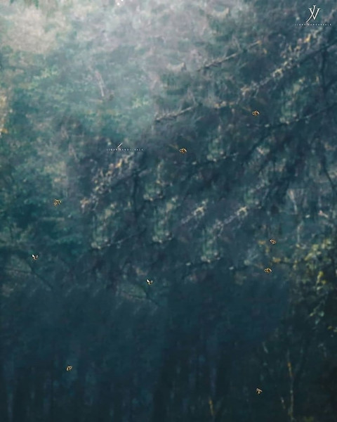 Sky CB Background Download For Picsart Editing