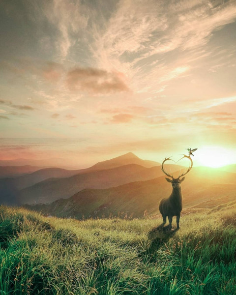 Sky CB Background Download Full HD