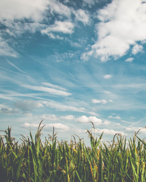 Sky Cb Editing Background HD For Picsart