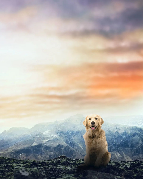Sky With DOg CB Picsart Background Download Full HD