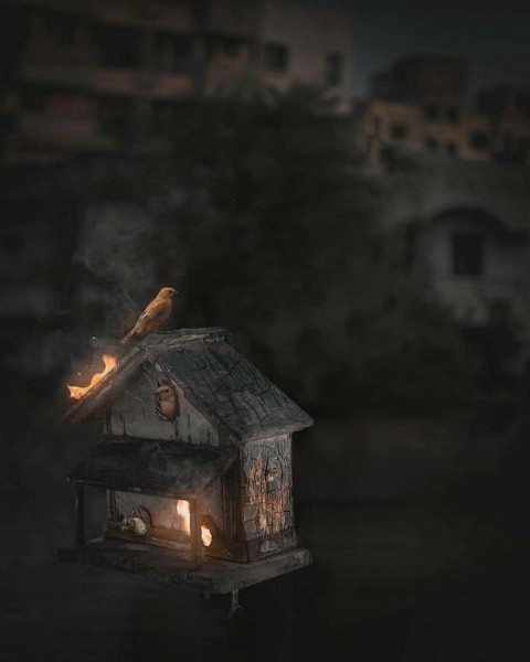 Small Birds picsart Background Download HD