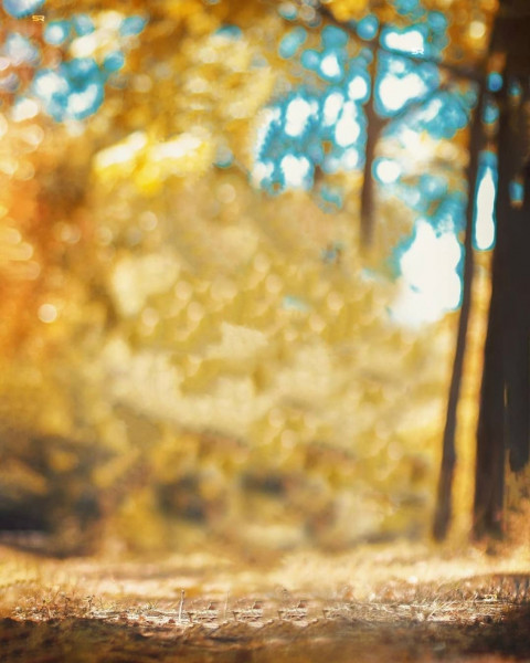 Snapseed Background Full HD For Picsart Photo Editing