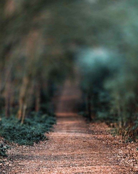 Snapseed Background HD Download Free