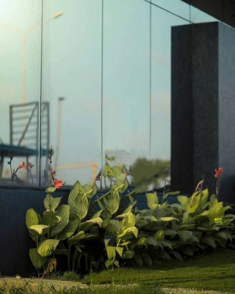 Snapseed Background HD For PicsArt Photo Editing