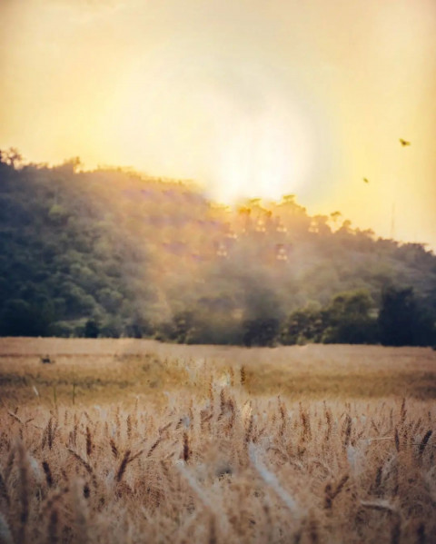 Snapseed Background HD Images Free Download Pic
