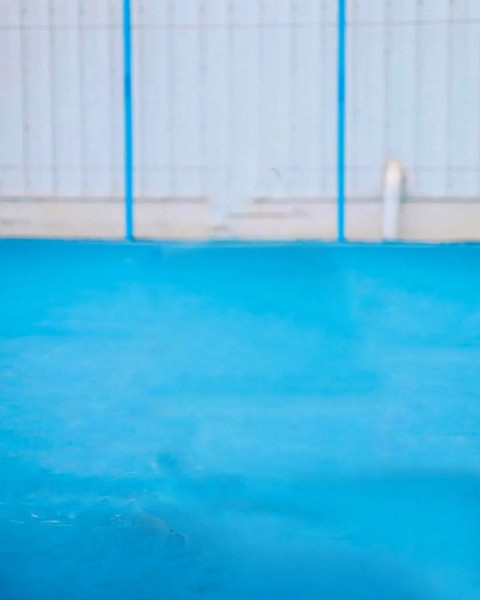 Snapseed Background HD Images Free Download Pics