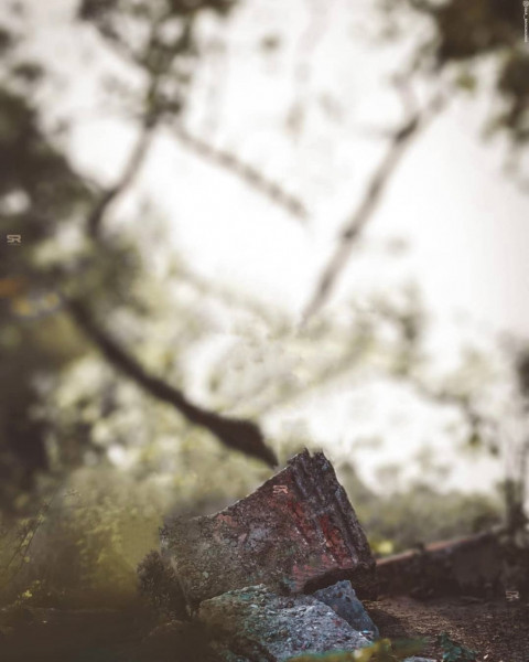 Snapseed Background Images for Photoshop Editing