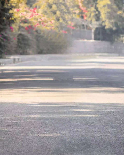 Snapseed Background Images for Photoshop Editing