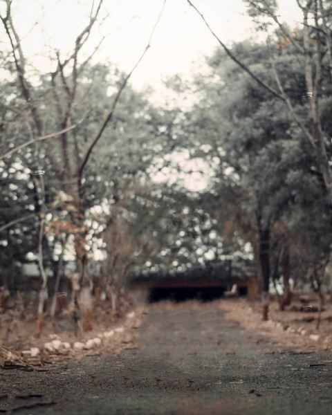 Snapseed Background Images HD For Editing